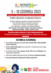 instrukcja głosowania